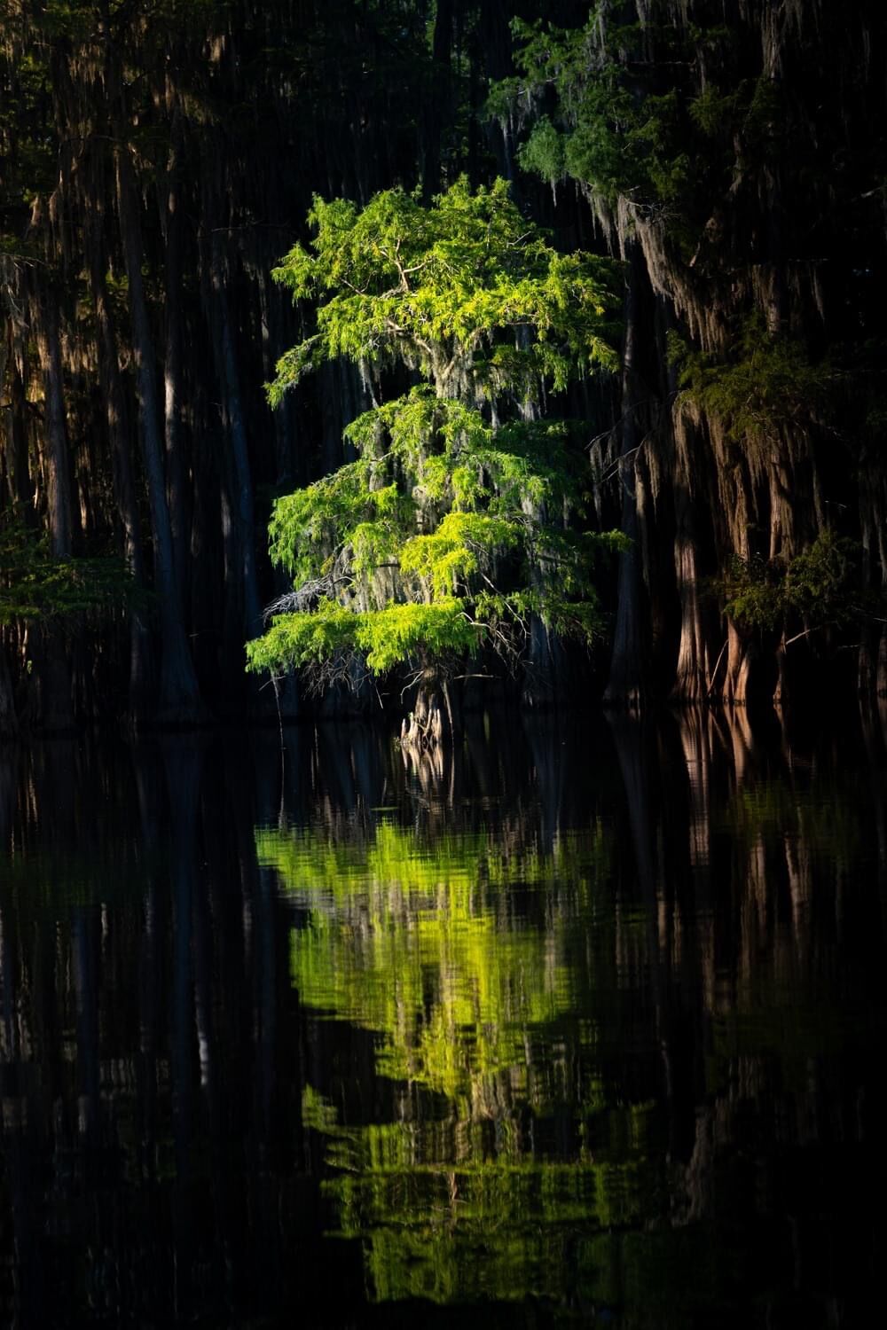 caddo6
